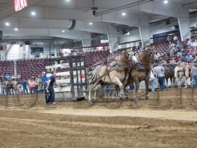 Heavyweight Horse Pull