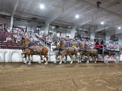 Six - Horse Hitch