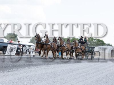 Six Horse Hitch