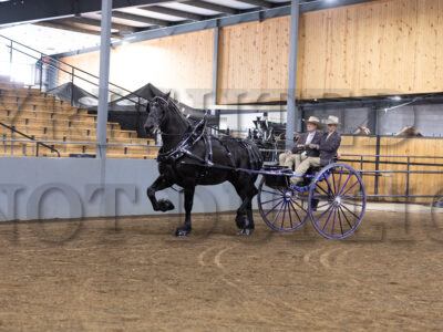 Youth Cart - Senior