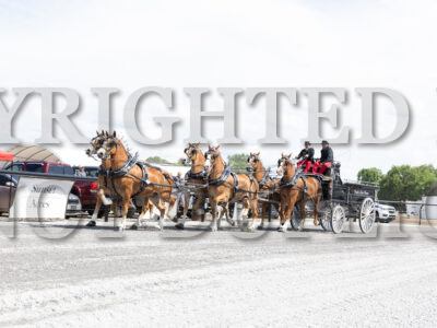 Six Horse Hitch