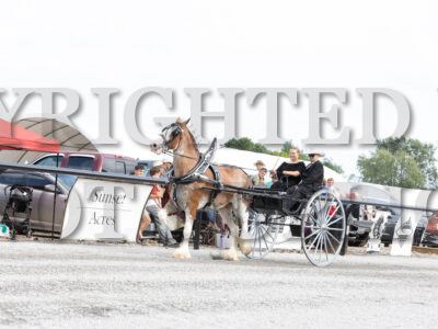 Youth Cart Championship