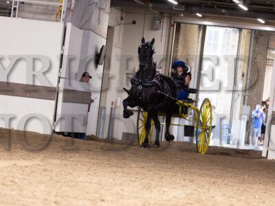 Percheron Ladies Cart