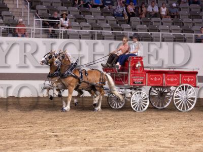 Haflinger Jr Driver (15-18 year) Team