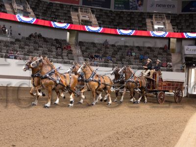 Belgian Classic Series Six Horse Hitch