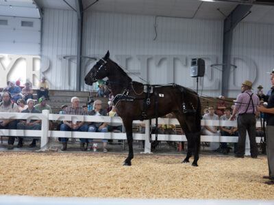 Lot 1 - 20