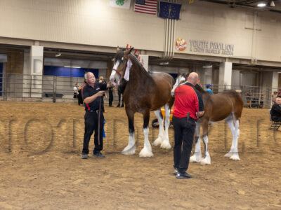 Group Classes