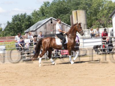 Ridden Dressage Presentation