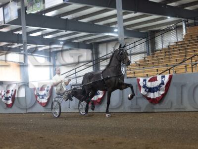 7. ADHHA Jr Mare Roadster