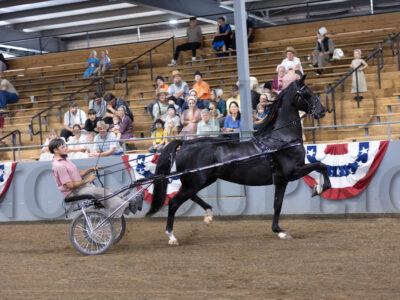 28. ADHHA Mare Roadster to Bike