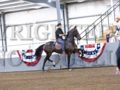 38. ADHHA Roadster Under Saddle
