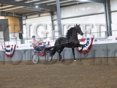 60. Friesian Jr/Limit Roadster to Bike Championship