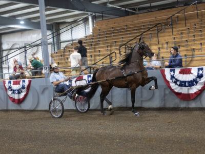 66. ADHHA Jr Roadster to Bike Championship