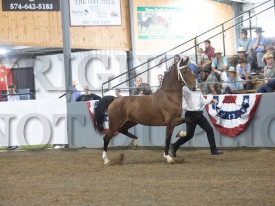 68. ADHHA Open In Hand Championship