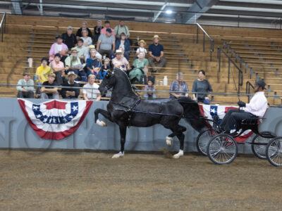 70. ADHHA Jr Dutch Harness Championship