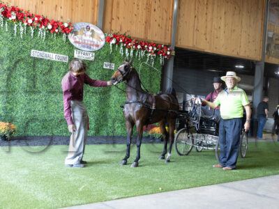 71. Hackney Harness Championship