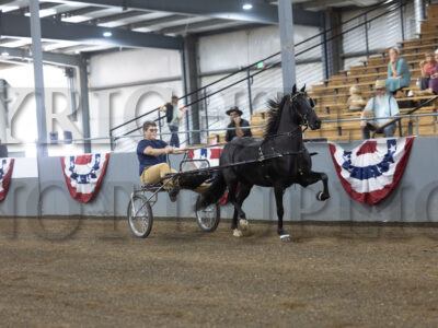 76. Youth Open Breed Roadster to Bike Championship