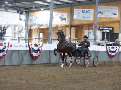 77. Stallion Approval #2 (ADHHA Driving Test) if Needed