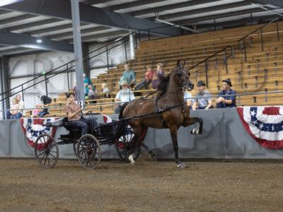 78. Open Roadster to Wagon Championship
