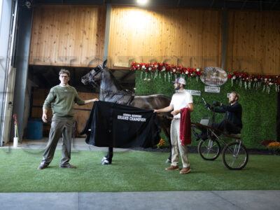 83. Open Breed Roadster to Bike Championship