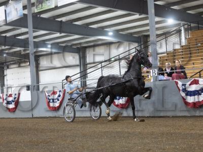 88. ADHHA Open Roadster to Bike Championship