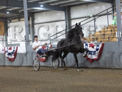 92. Open Breed Roadster To Bike Championship