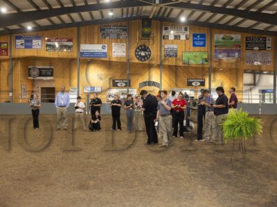 Youth Judging