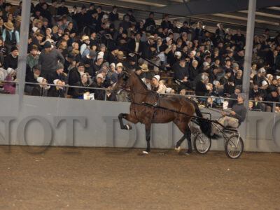 Lot 51-60
