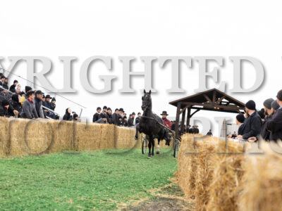 #14 Agent Blackout