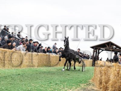#65 Hawkeye Intrigue