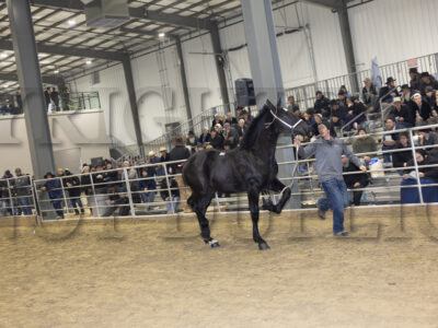 Lot 111 - 120