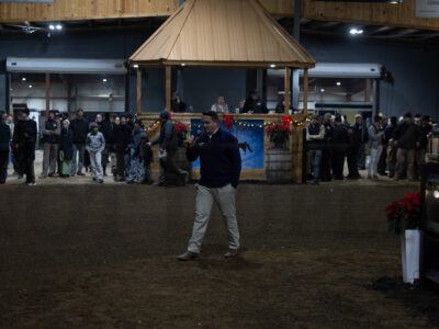 Saddlebred Association