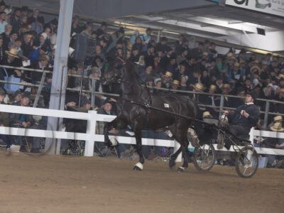 Lot 41-60