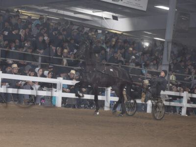 Lot 121-137