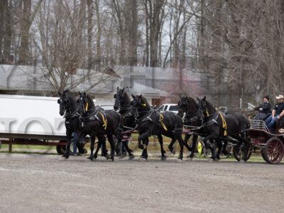 #1 Six Horse Hitch