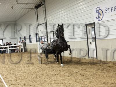 A&M's Leonardo
