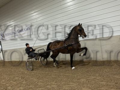 Keystone Marlboro